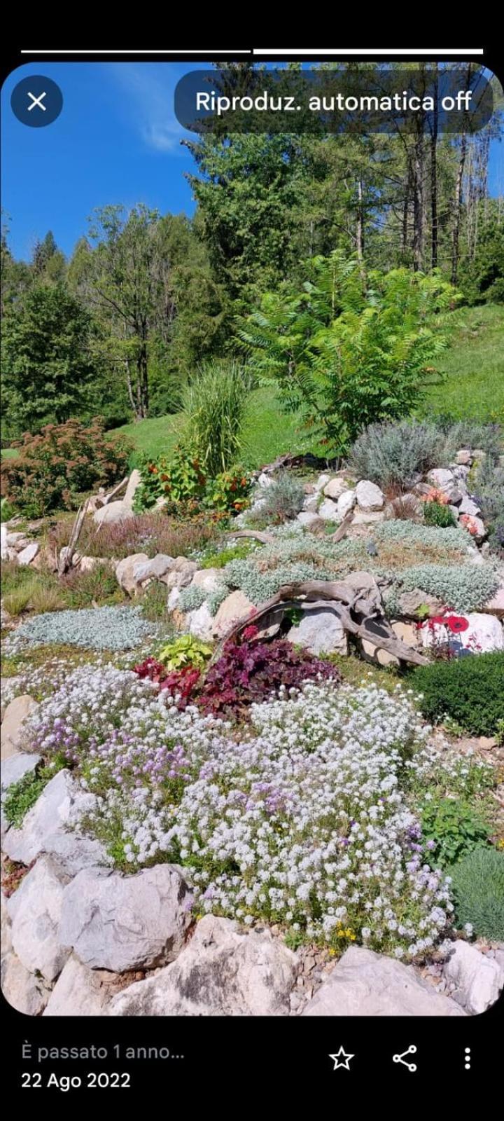 Apartmán Reggia Al Sole Pieve di Cadore Exteriér fotografie